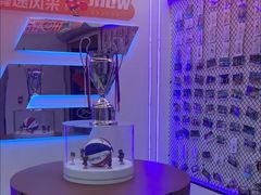 -翼速篮球·儿童体适能·中考体育(鲁能城店)