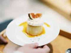 -猫里有甜