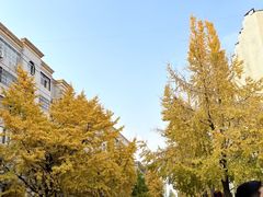 -老鼎万春卤菜(五代传承创始老店)