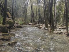 -玉渡山自然风景区