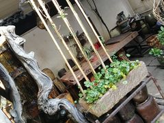 -普洱茶府(博乐广场店)