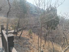 -北京十三陵国家森林公园蟒山景区