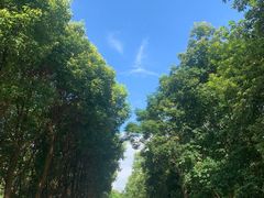 -高榜山景区