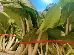 -山东宾馆·齐鲁苑餐厅
