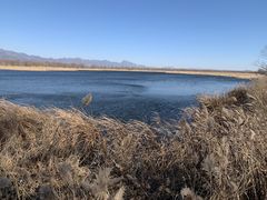 -野鸭湖国家湿地公园