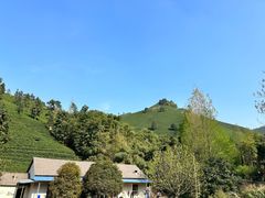 -帐篷客·溪龙茶谷度假酒店