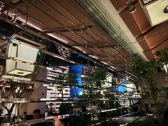 -桂满陇·海市蜃楼·黑金(国金店)