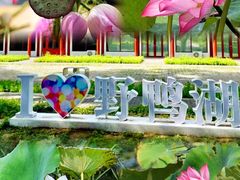 -野鸭湖国家湿地公园