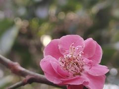 -洛阳市隋唐城遗址植物园