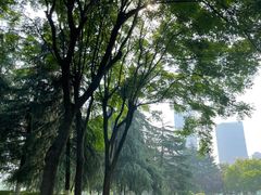 -后襄河公园