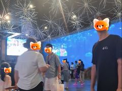 -华夏文旅西安度假区