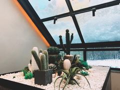 -大树餐厅(红旗街万达店)