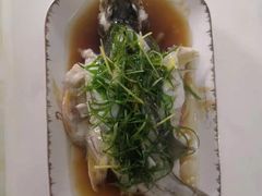 -好孕妈妈月嫂(重庆总店)