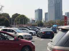 -大宁郁金香公园-停车场