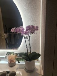 -Hi Beauty Skin 科技美肤中心
