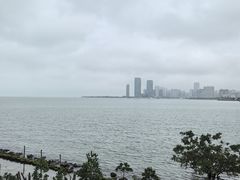 -万绿园