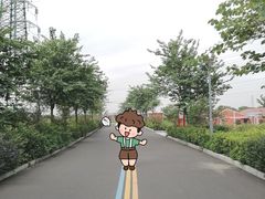 -王借岗森林公园