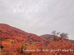 -周口店坡峰岭风景区