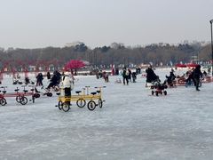 -长春市南湖公园