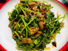 香菜牛肉-弘烨 贵州酸汤 鱼火锅(东财店)