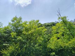 -黄公望隐居地