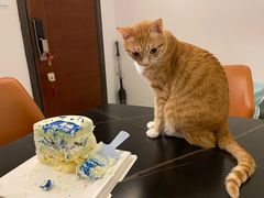 -森之烘焙.蛋糕.甜品台定制(番禺万博店)