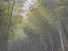 -天台山景区