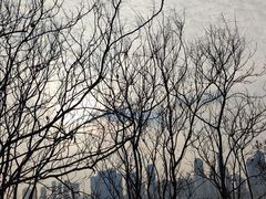 -武昌江滩