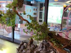 -星河湾温泉洗浴酒店