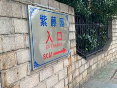 -嘉定紫藤园
