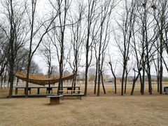 -北京群众马术培训基地