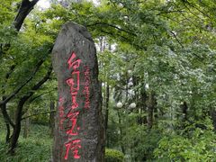 -庐山风景区花径公园