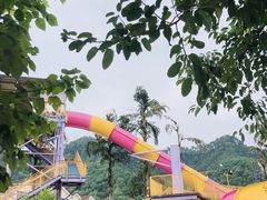 -重庆海昌加勒比海水世界