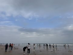 -日照海滨国家森林公园