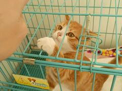 -畜牧兽医站(共江路店)