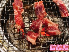 -青瓦炭韩潮烤肉(花园道店)