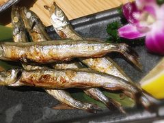 -六本目日式料理(珊瑚沙家园店)