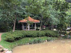 -火炉山森林公园