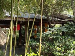 -西安国际创新人才交流中心•药浴温泉