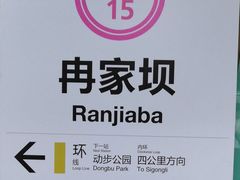 -大龙山(地铁站)