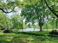 -上海共青森林公园