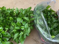 -秦美花卉(天朗·莱茵小城2期店)