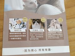 -猫域·湾主题猫咖·宠物吧(南坪城市广场店)