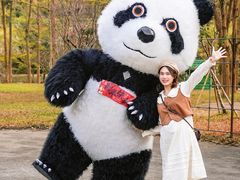 -田野绿世界