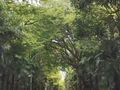 -上海海湾国家森林公园