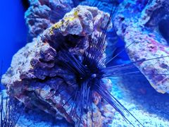 -上海海洋水族馆