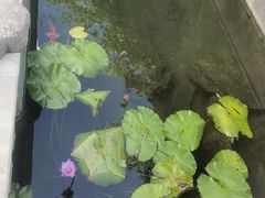 -汤宴·参须肚包鸡(南京路店)