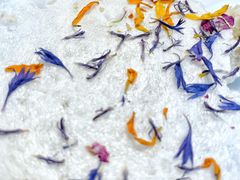 -九献创意菜·牛排馆(亮马河花园店)