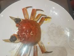 -新光酒家·河豚·海鲜·蟹料理(浦东店)