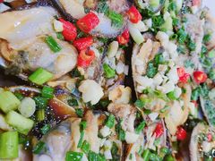 -全乐鱼馆·淳牌有机鱼直营店